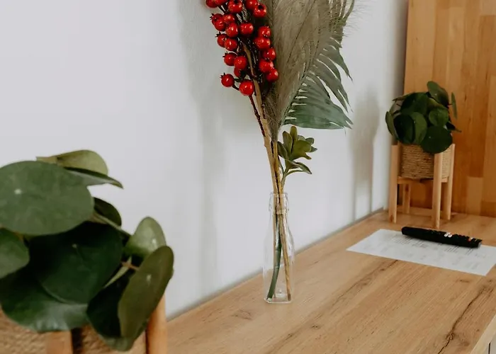 Kupferdachl 아파트 *